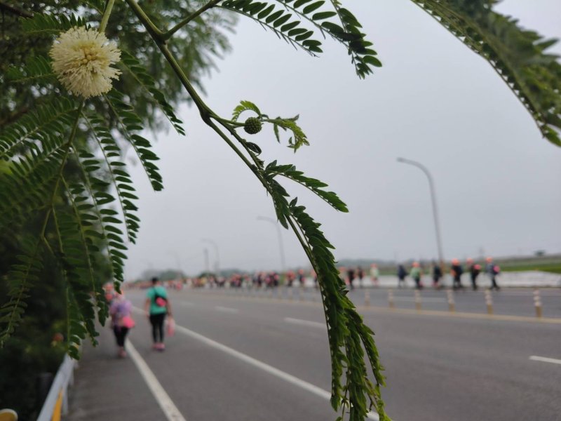 d18e5722045dee523e05b8aeb6da1867.jpg