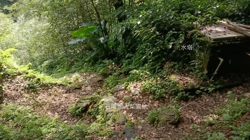 d19fc50506cd40773ae32d7c2a981e36.png
