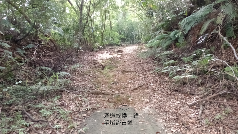 d1b855c20ccaacb4cbe92a287d5c7d30.png