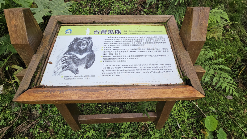 d1cdf192a85167c54aed549508fc1fdf.jpg