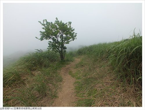 雪山尾稜北段 (98).JPG - 雪山尾稜北段