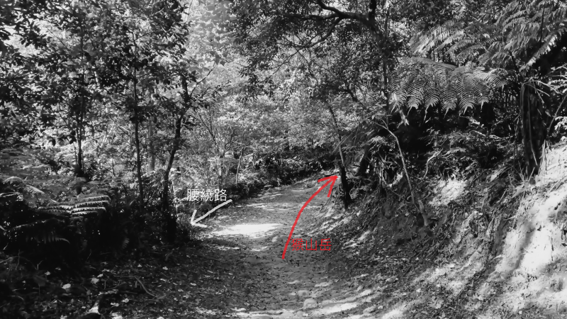 d2078563f1de94ddae46ed9a134ba21b.png