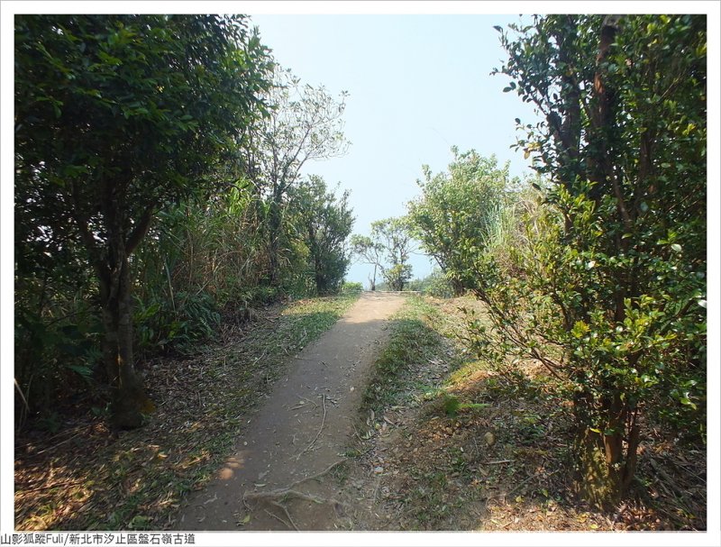 盤石嶺古道 (127).JPG - 盤石嶺古道