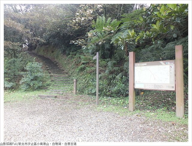 姜子寮山步道 (2).JPG - 姜子寮山步道櫻花