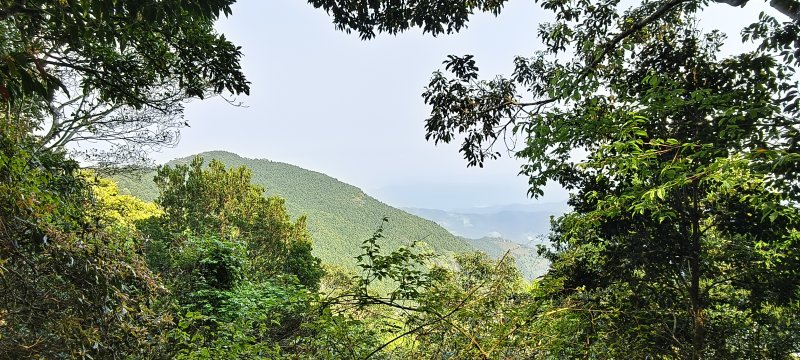 d293edb8c99074371dd4ed7ee25112a7.jpg