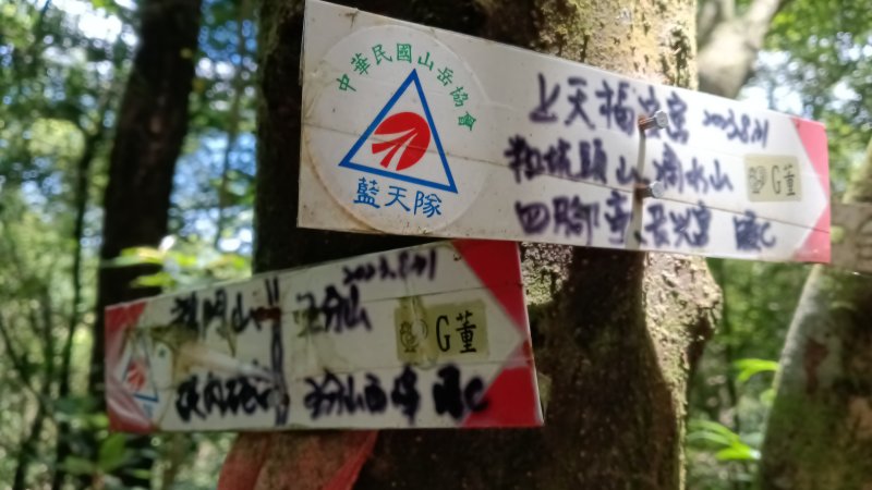 d29be2517f0265ae0f55620c63cdd245.jpg