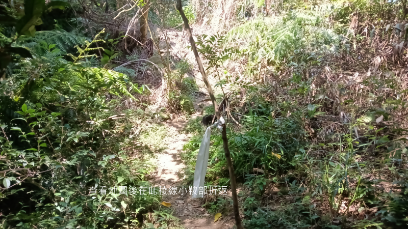 d315e390a46be2d297842ab2a2c410bb.png
