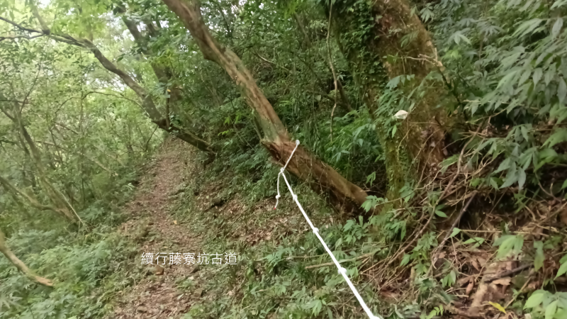 d321ddb4f13cfed2e2d6f5603d5a7ef0.png