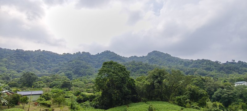 d330e376b923589960c296c262b0717d.jpg