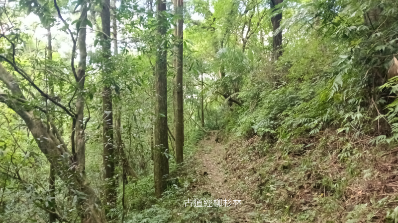 d33d89ba59d3f170ec2bba1a10d1ca33.png