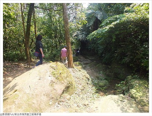 三貂嶺步道 (27).JPG - 三貂嶺步道