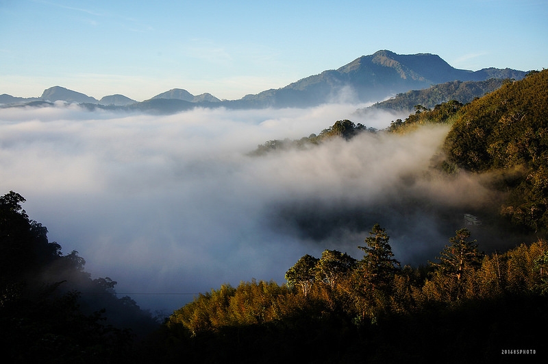 光崙山雲海