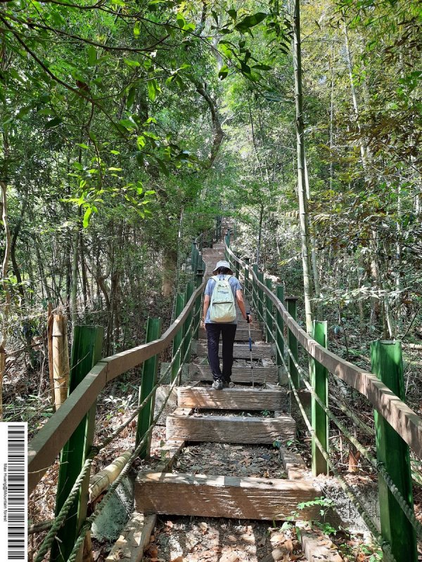d3717623b3a41b68fdeb45e7dba784f8.jpg