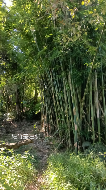 d390b78e48b538b578df0303d69d9d69.png