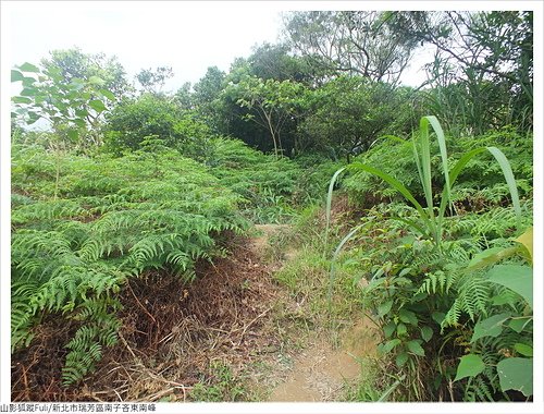 南子吝東南峰 (15).JPG - 南子吝東南峰