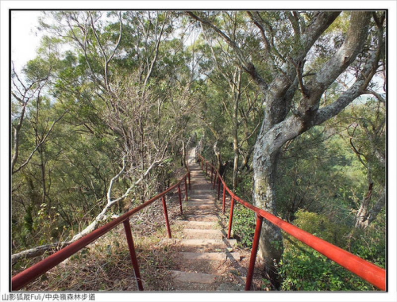 中央嶺森林步道 (59).jpg - 中央嶺森林步道