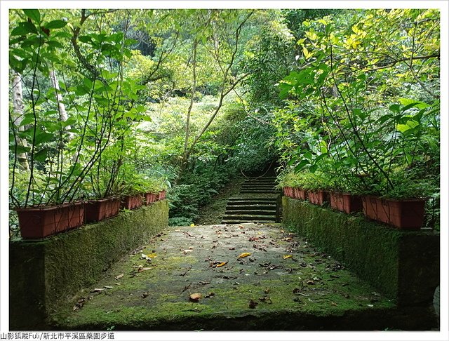 藥園步道 (25).jpg - 藥園步道