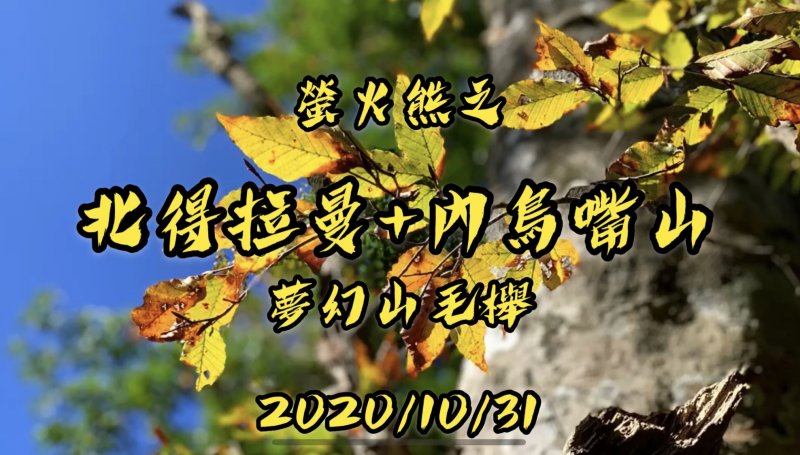 【中級山】北得拉曼、內鳥嘴山、金黃山毛櫸