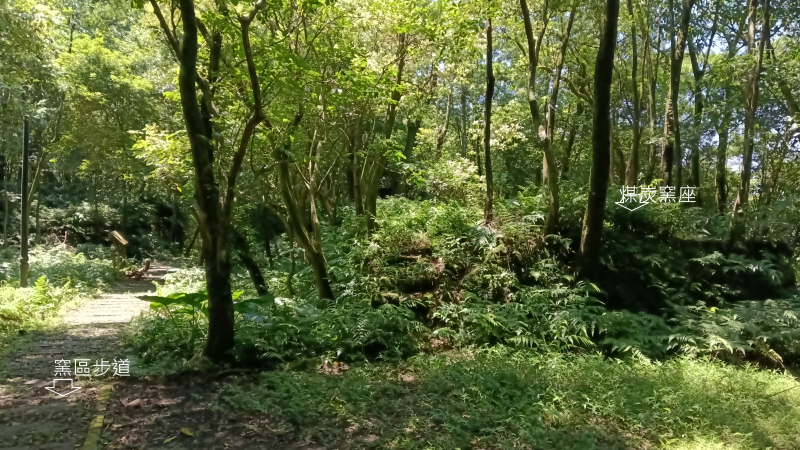 d40264d7a2da16ec592639f243187af0.png