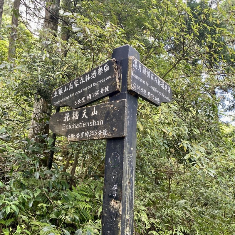 跨越桃園市新北市:東滿步道—台灣好行506東眼山線+新北市公車807,悠遊卡搭乘大眾交通搞定兩端接駁👍