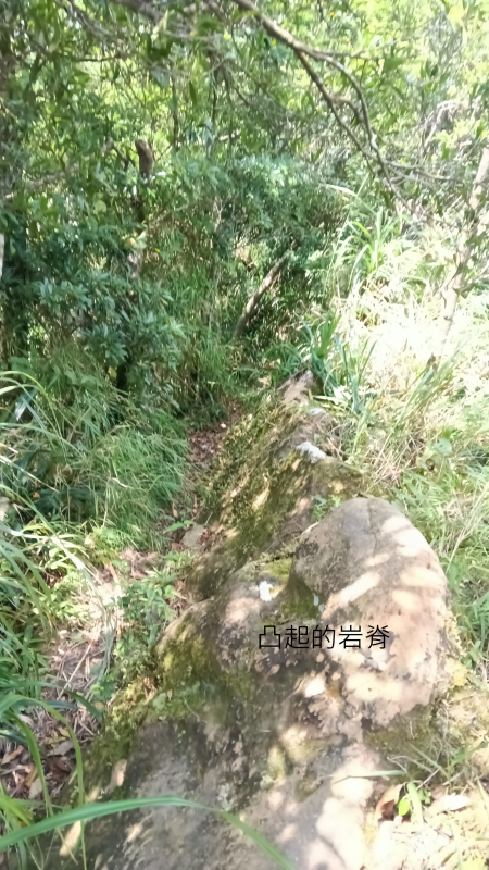 d465f75e2d9f35d8b5ca431b5345ee77.png
