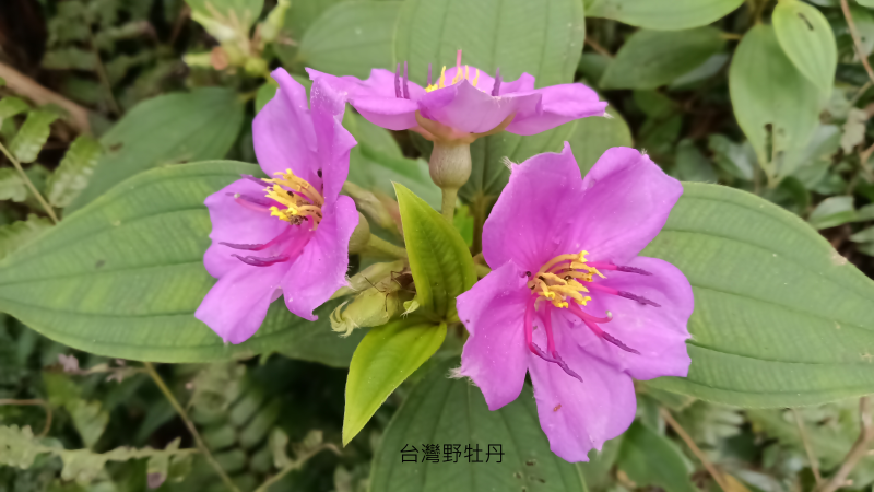 d4837d0bfd0c4882c161bf8a3bb5d24e.png