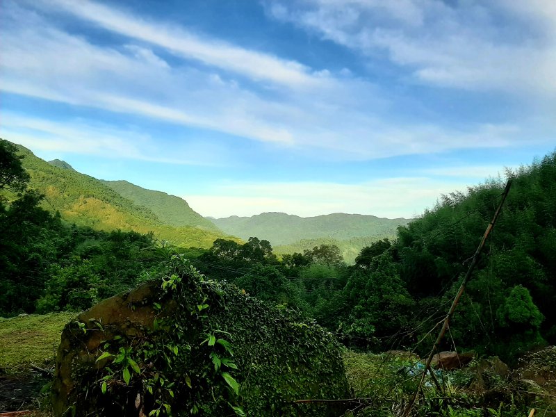 d4d3485b776fcec53904933d4088bc05.jpg