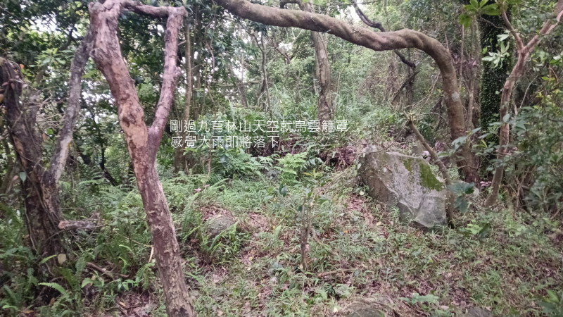 d575edb0753d7489706f0d4d9143bc55.png