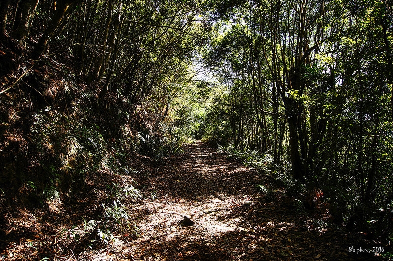 關刀山產道路況