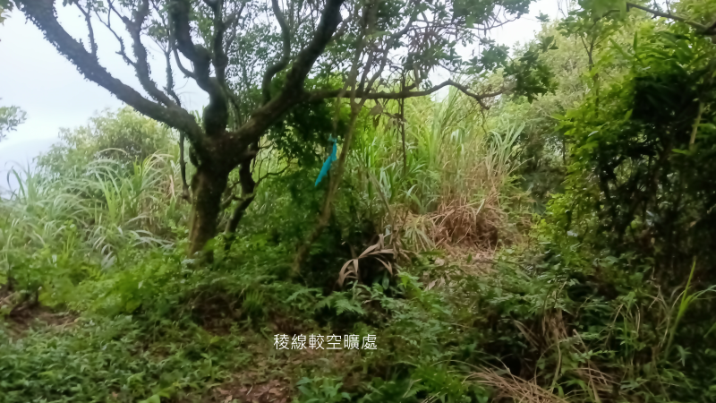 d584e257f45f64bf1fe15d556677691d.png