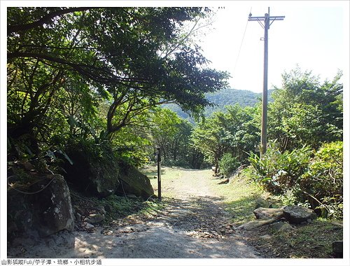 小粗坑古道 (89).JPG - 苧子潭、琉榔頭、小粗坑步道
