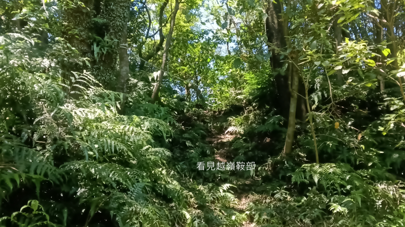 d5c2329685265ab83518fa79348eb67a.png