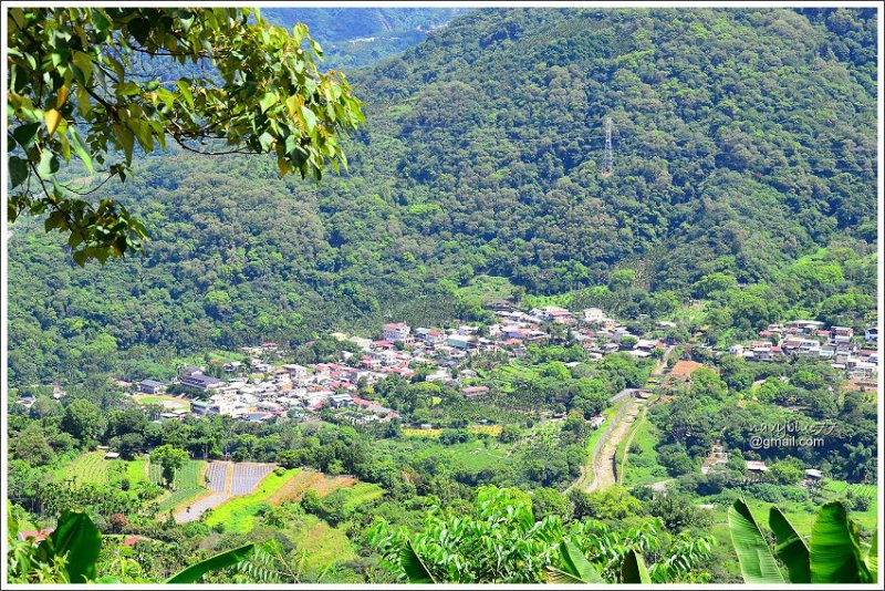 雙龍吊橋天時棧道 (3).JPG