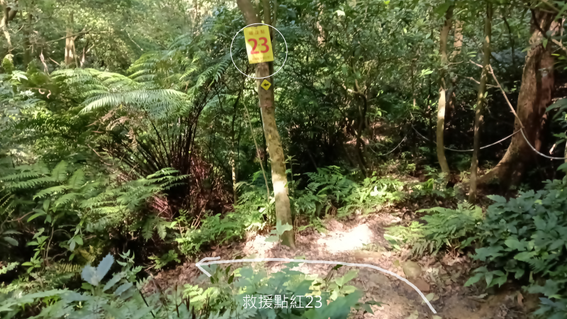 d60c936b8dffb0739080b499ab26c20d.png