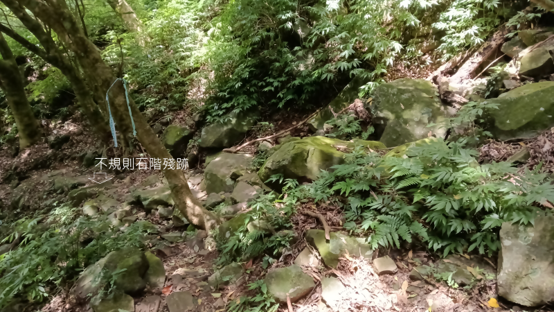 d6385ce5154d740f1bee4f6fe535a722.png