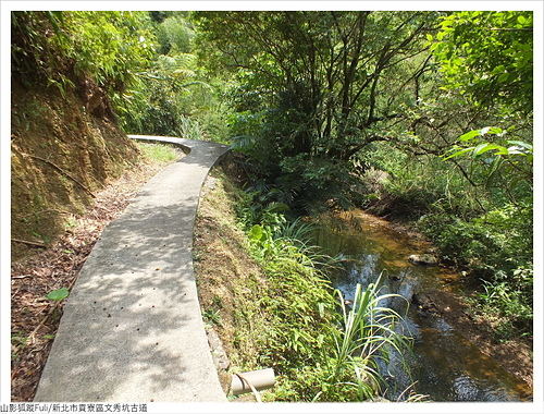 文秀坑古道 (80).JPG - 文秀坑古道