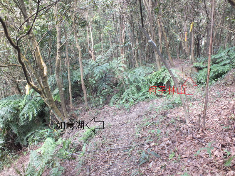 d67560cb3f3c2acde96fc9eca3888616.jpg