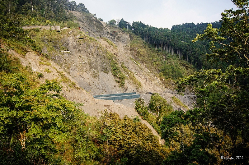 出雲山林道