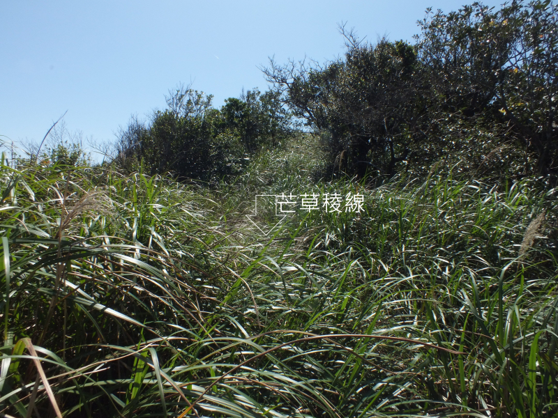 d6950f255565eeb20a78d54566d410b6.jpg