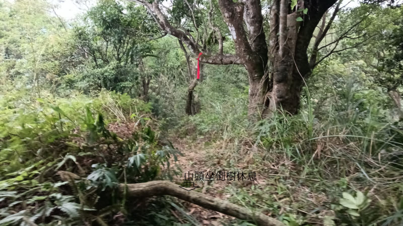d6b01bbca1807128957220f51b5421a7.png