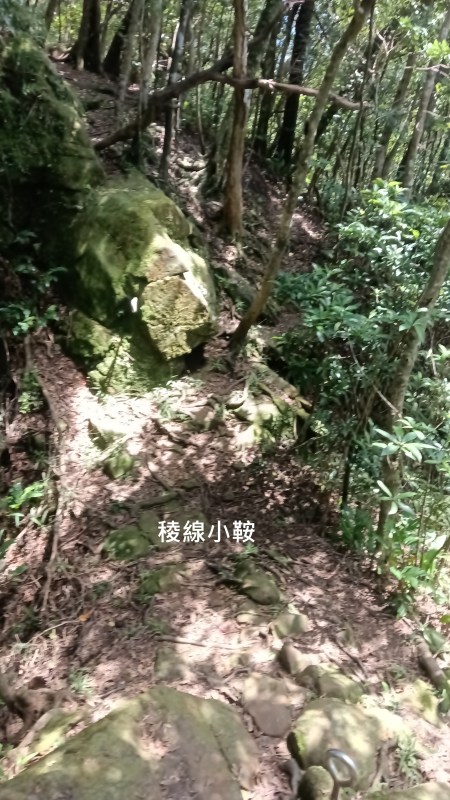 d6ca86b8d7fc8dbcb6cda9f8dc1b5acc.png