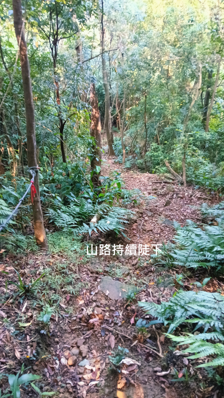 d6dd3e777b98b4b7328327c5c5ea82ac.png