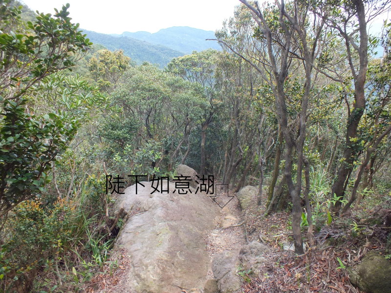 d6e384a7aed6460a02aafc2adb388f70.jpg