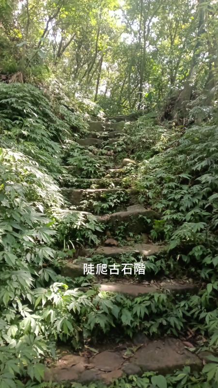 d7043425c52df828a76cf39672a0a0fb.png