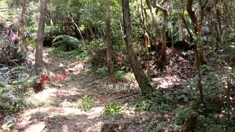 d70a979ee46338ee00b0c89cb26fc515.png