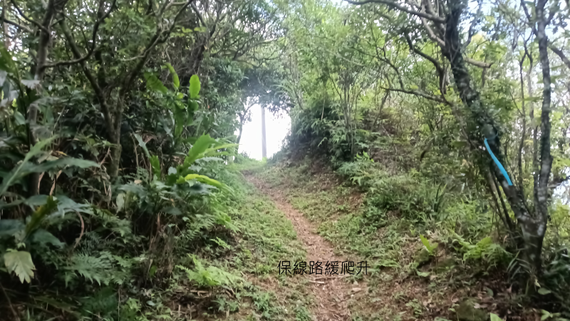 d70e43aecaa78aa0314bf3f0b4308633.png