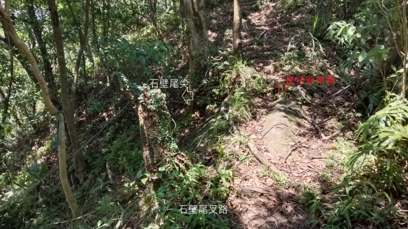d72183e8b69f8cec8d4d62a78e3c7e82.png