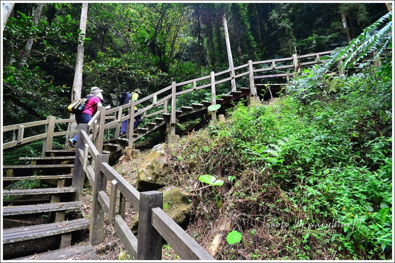 竹坑溪步道39.JPG