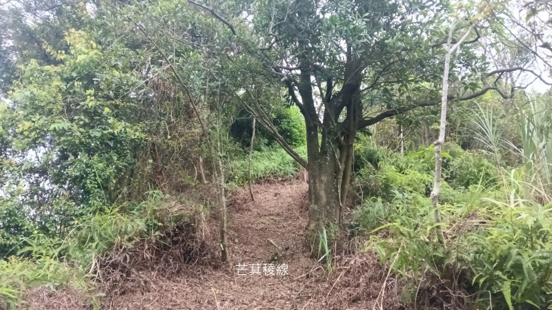 d72cea657ee67cc8eb996ab860d47f08.png