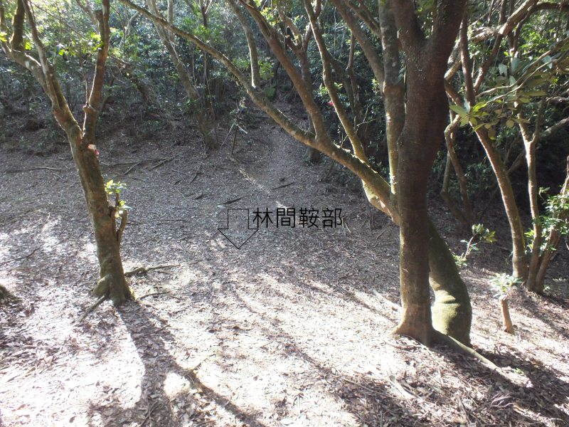 d73ac50bdf15f51b7010e941495de7cd.jpg